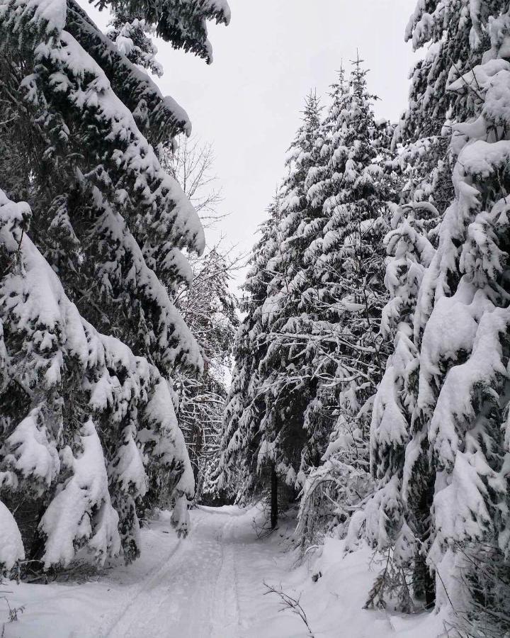 Dren - Banjska Stena Mitrovac Exteriér fotografie