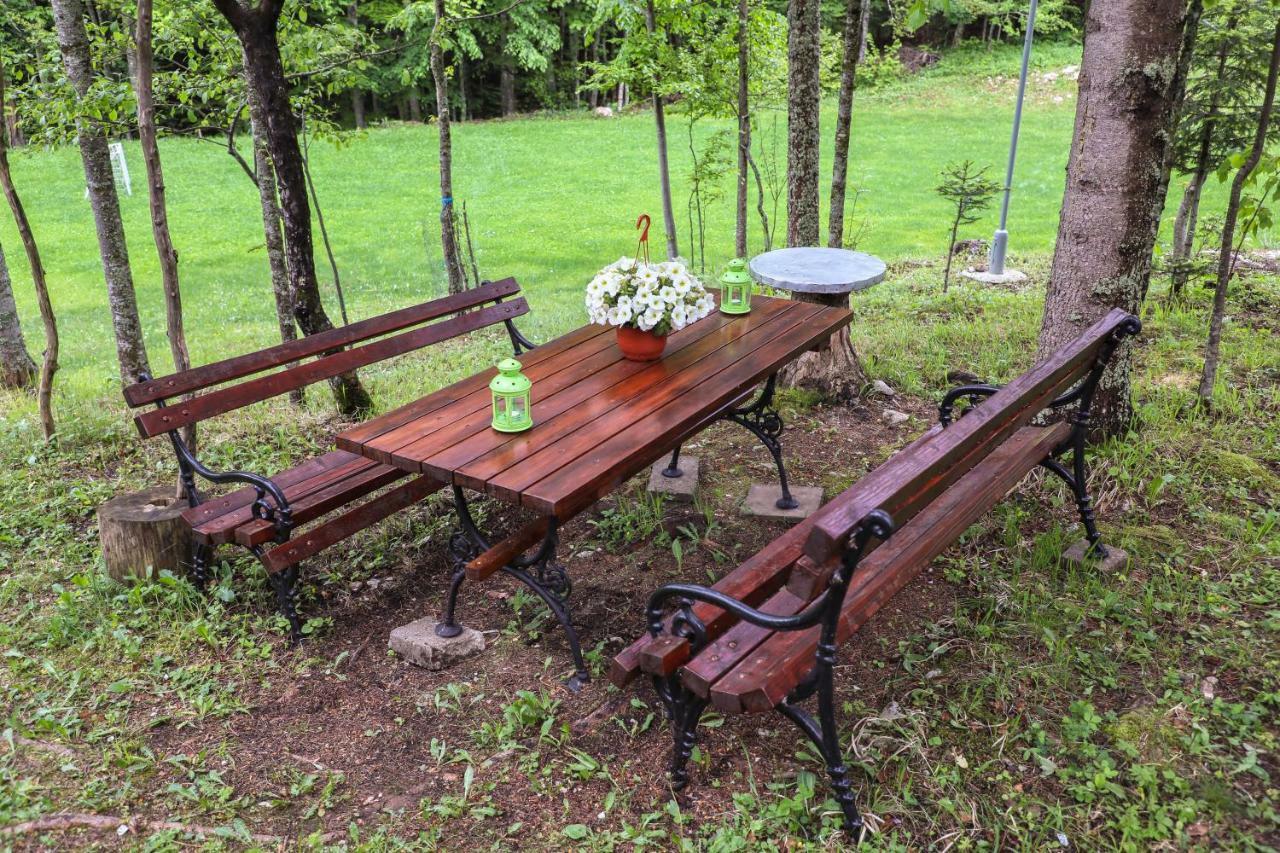 Dren - Banjska Stena Mitrovac Exteriér fotografie