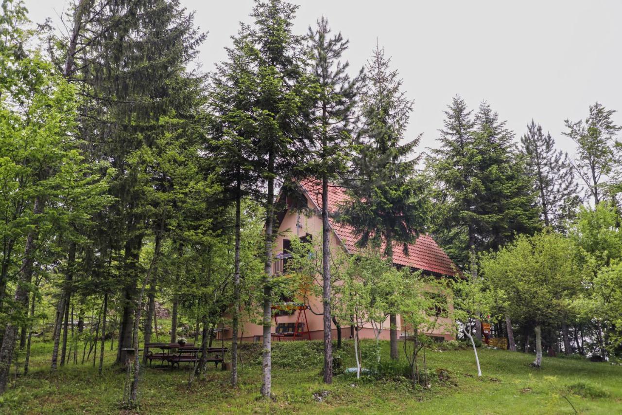 Dren - Banjska Stena Mitrovac Exteriér fotografie
