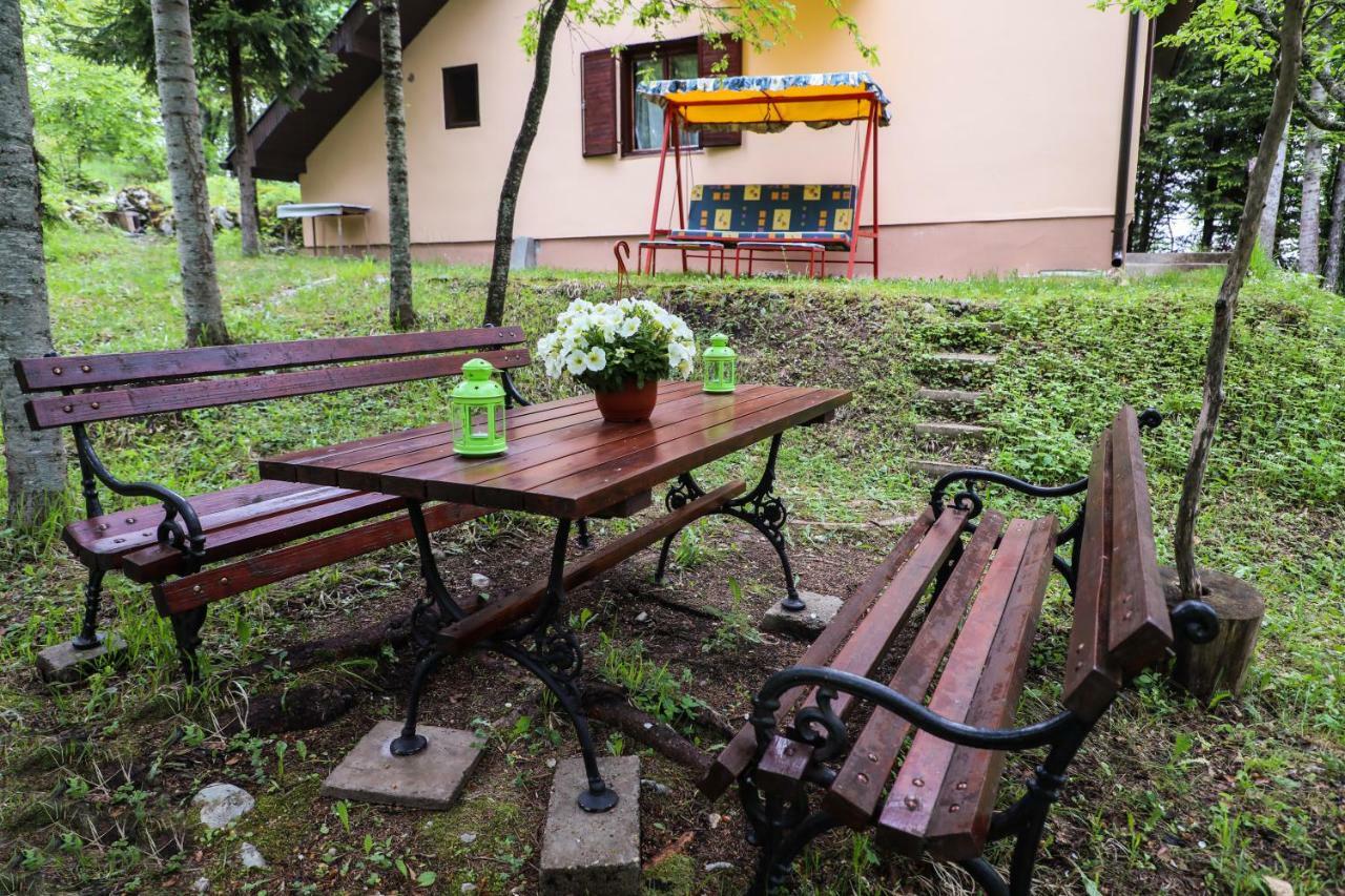 Dren - Banjska Stena Mitrovac Exteriér fotografie