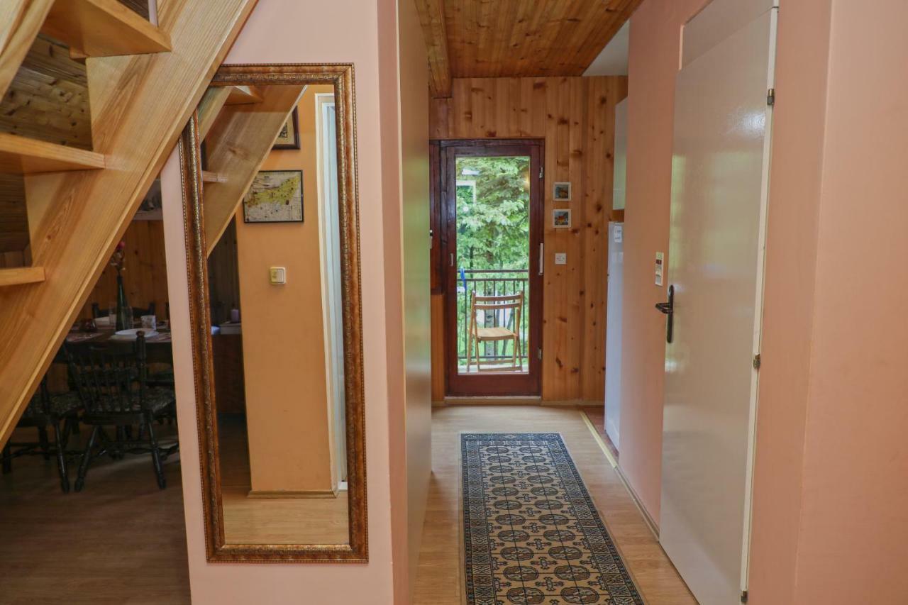 Dren - Banjska Stena Mitrovac Exteriér fotografie
