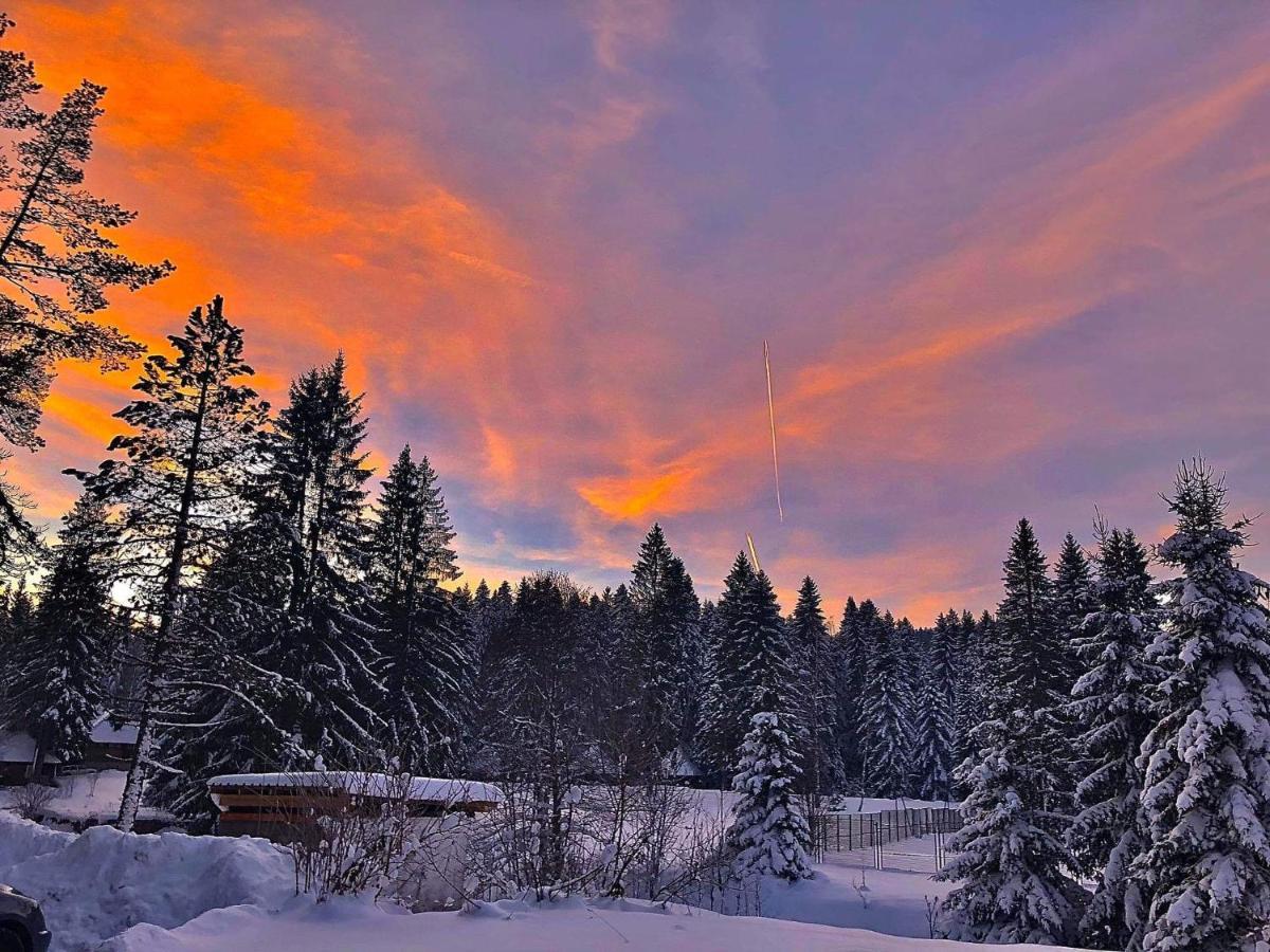 Dren - Banjska Stena Mitrovac Exteriér fotografie